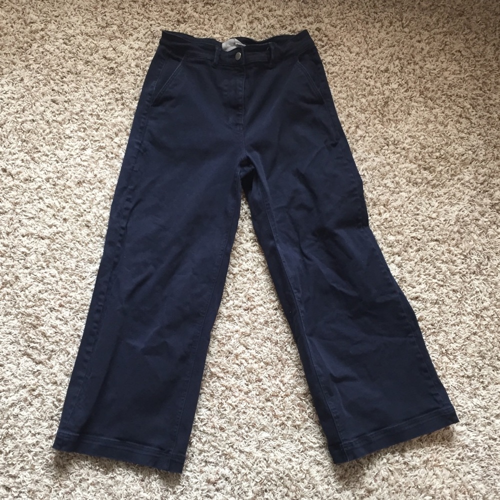 Everlane Wide Leg Crop Pant in Navy size 8